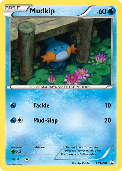 Mudkip (XY - Primal Clash) Light Play