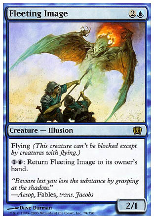 Fleeting Image (8th Edition) Damaged / Poor