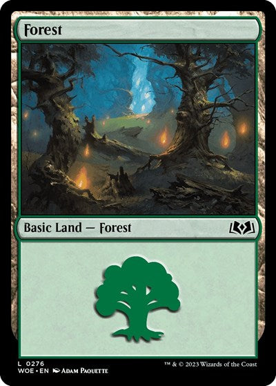 Forest (0276) (Wilds of Eldraine) Light Play