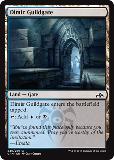 Dimir Guildgate (246) (Guilds of Ravnica) Light Play Foil
