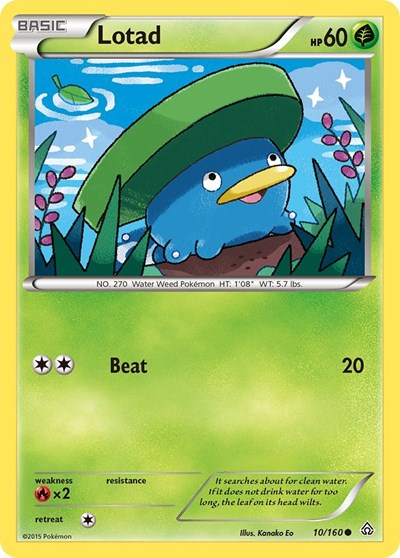 Lotad (XY - Primal Clash) Light Play