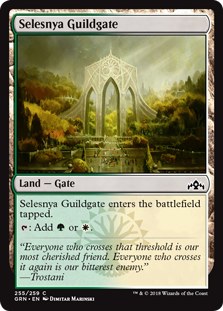 Selesnya Guildgate (255) (Guilds of Ravnica) Light Play Foil