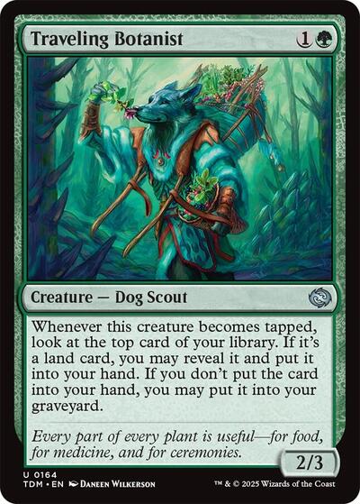 Traveling Botanist (Tarkir: Dragonstorm) Light Play