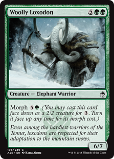 Woolly Loxodon (Masters 25) Light Play