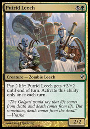 Putrid Leech (Duel Decks: Jace vs Vraska) Light Play