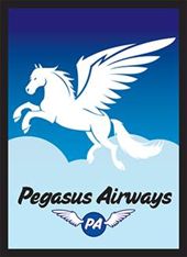 Pegasus Air Card Sleeves