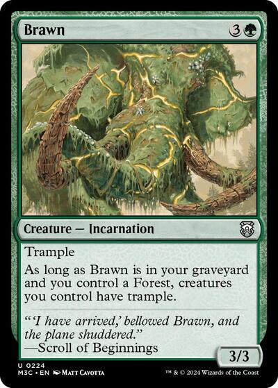 Brawn (Commander: Modern Horizons 3) Light Play