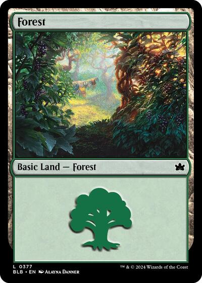 Forest (0377) (Bloomburrow) Light Play