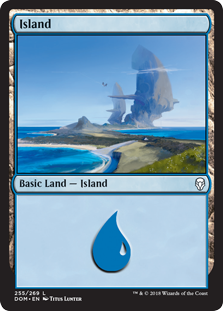 Island (255) (Dominaria) Light Play