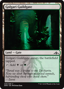 Golgari Guildgate (249) (Guilds of Ravnica) Light Play