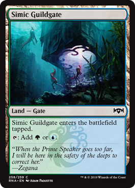 Simic Guildgate 2 (Ravnica Allegiance) Light Play