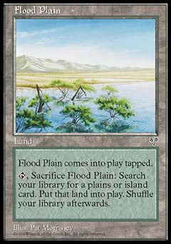 Flood Plain (Mirage) Damaged / Poor