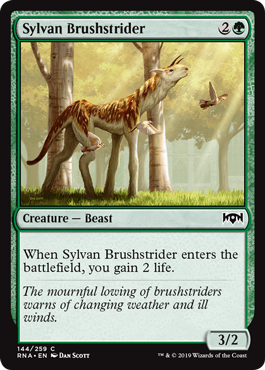 Sylvan Brushstrider (Ravnica Allegiance) Light Play