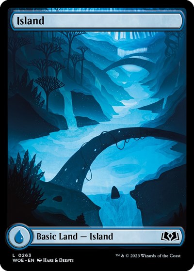 Island (0263) (Wilds of Eldraine) Light Play
