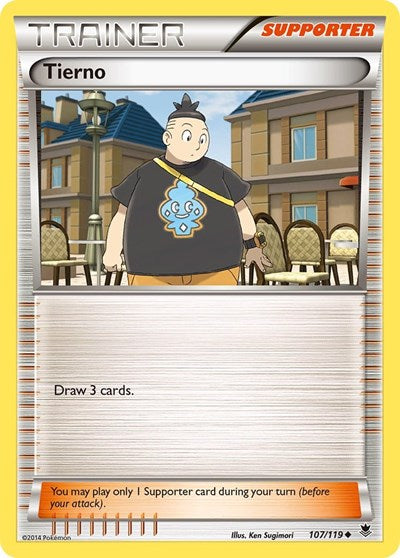 Tierno (XY - Phantom Forces) Damaged / Poor