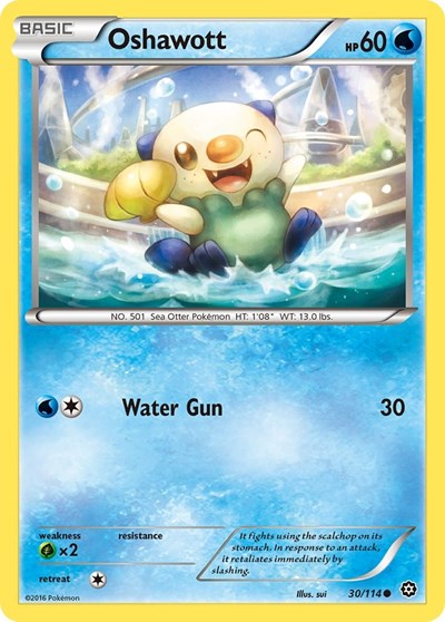 Oshawott (XY - Steam Siege) Medium Play