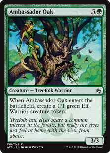 Ambassador Oak (Masters 25) Light Play