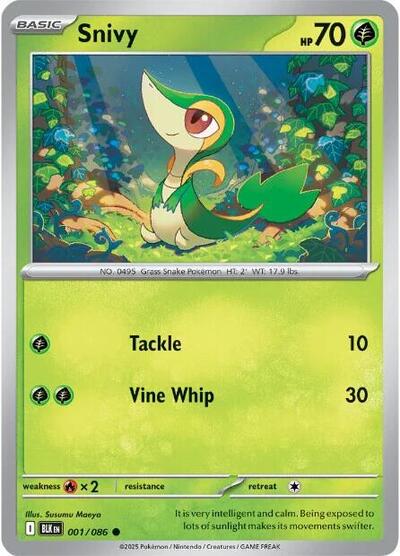 Snivy (SV: Black Bolt) Light Play