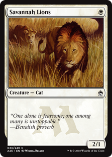Savannah Lions (Masters 25) Light Play