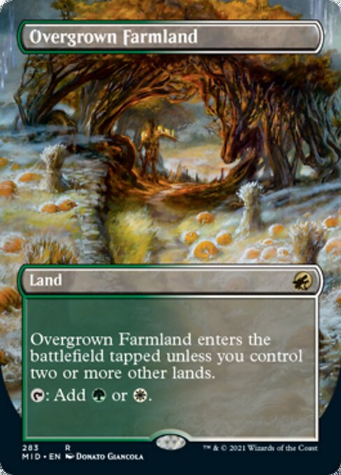 Overgrown Farmland (Borderless) (Innistrad: Midnight Hunt) Light Play