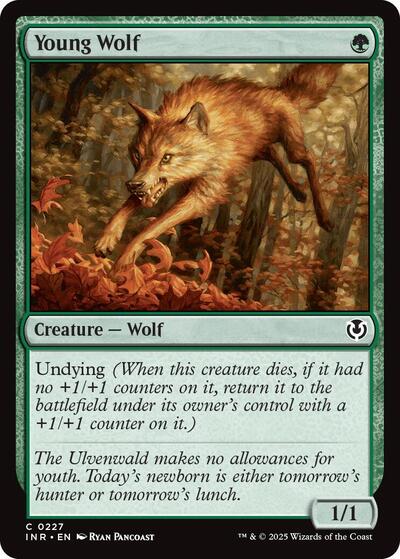 Young Wolf (Innistrad Remastered) Light Play