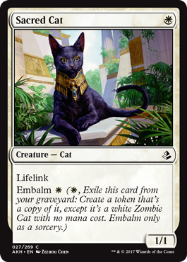 Sacred Cat (Amonkhet) Light Play