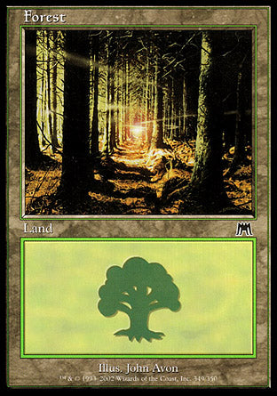 Forest (349) (Onslaught) Heavy Play
