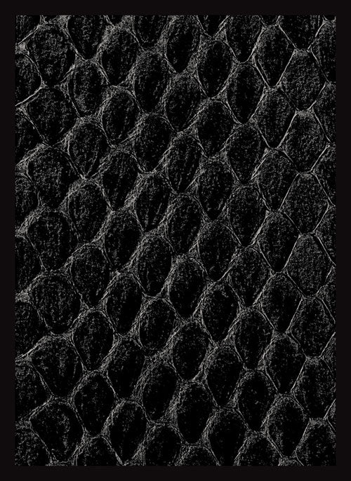 Dragon Hide Art Sleeves Black (50)
