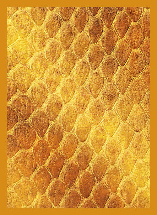 Dragon Hide Art Sleeves Gold (50)