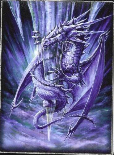 Max Protection Arctic Dragon Large Sleeves