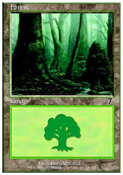 Forest (328) (7th Edition) Medium Play