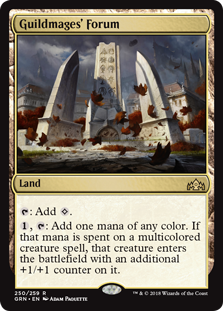Guildmages' Forum (Guilds of Ravnica) Light Play