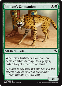 Initiate's Companion (Amonkhet) Light Play Foil