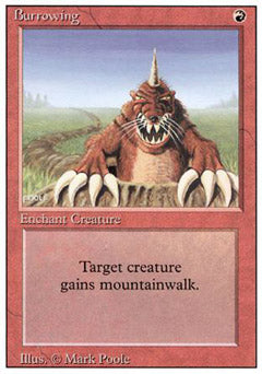 Burrowing (Revised) Light Play