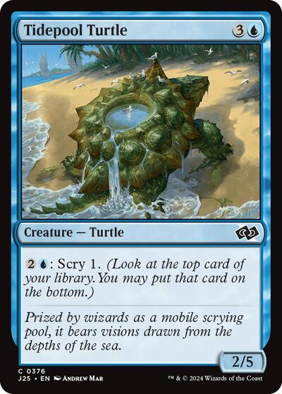 Tidepool Turtle (Foundations Jumpstart) Light Play