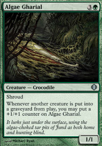 Algae Gharial (Shards of Alara) Medium Play