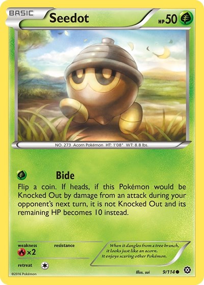 Seedot (XY - Steam Siege) Damaged / Poor