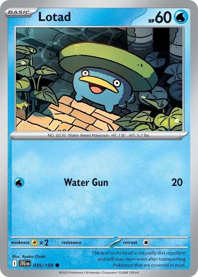 Lotad (SV09: Journey Together) Light Play