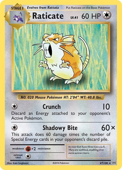 Raticate (XY - Evolutions) Medium Play