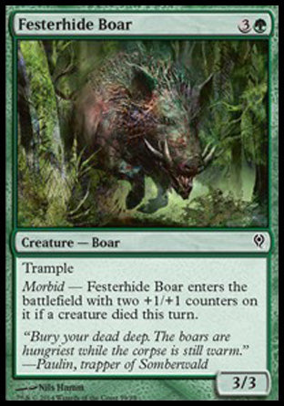Festerhide Boar (Duel Decks: Jace vs Vraska) Medium Play