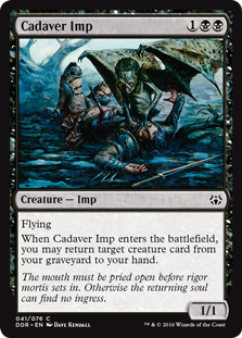 Cadaver Imp (Duel Decks: Nissa vs Ob Nixilis) Light Play