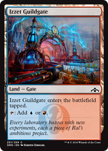 Izzet Guildgate (251) (Guilds of Ravnica) Light Play