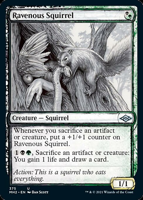 Ravenous Squirrel (Showcase) (Modern Horizons 2) Light Play