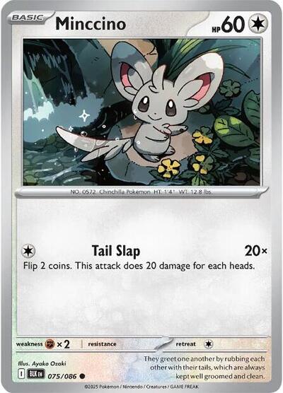 Minccino (SV: Black Bolt) Light Play