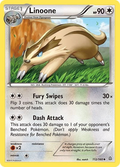 Linoone (XY - Primal Clash) Damaged / Poor