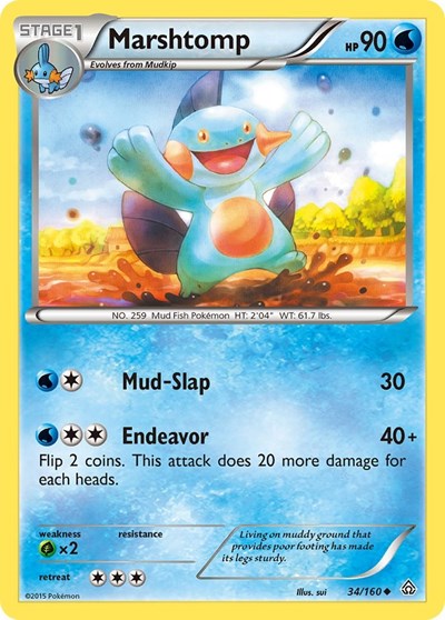 Marshtomp (XY - Primal Clash) Damaged / Poor