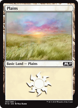 Plains (263) (Magic 2019 Core Set) Light Play