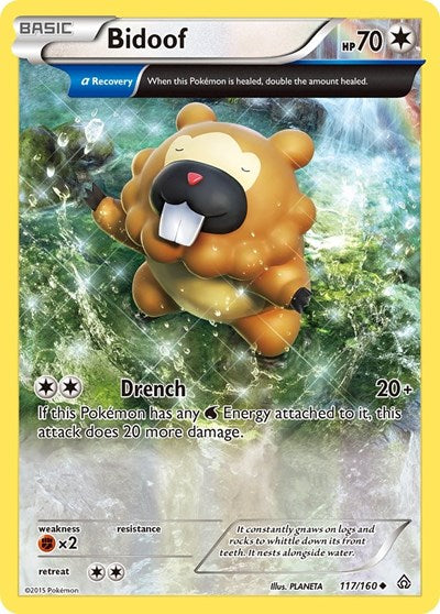 Bidoof (Alpha) (XY - Primal Clash) Heavy Play
