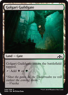 Golgari Guildgate (248) (Guilds of Ravnica) Light Play