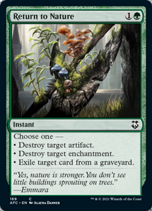 Return to Nature (Commander 2021 Forgotten Realms) Medium Play
